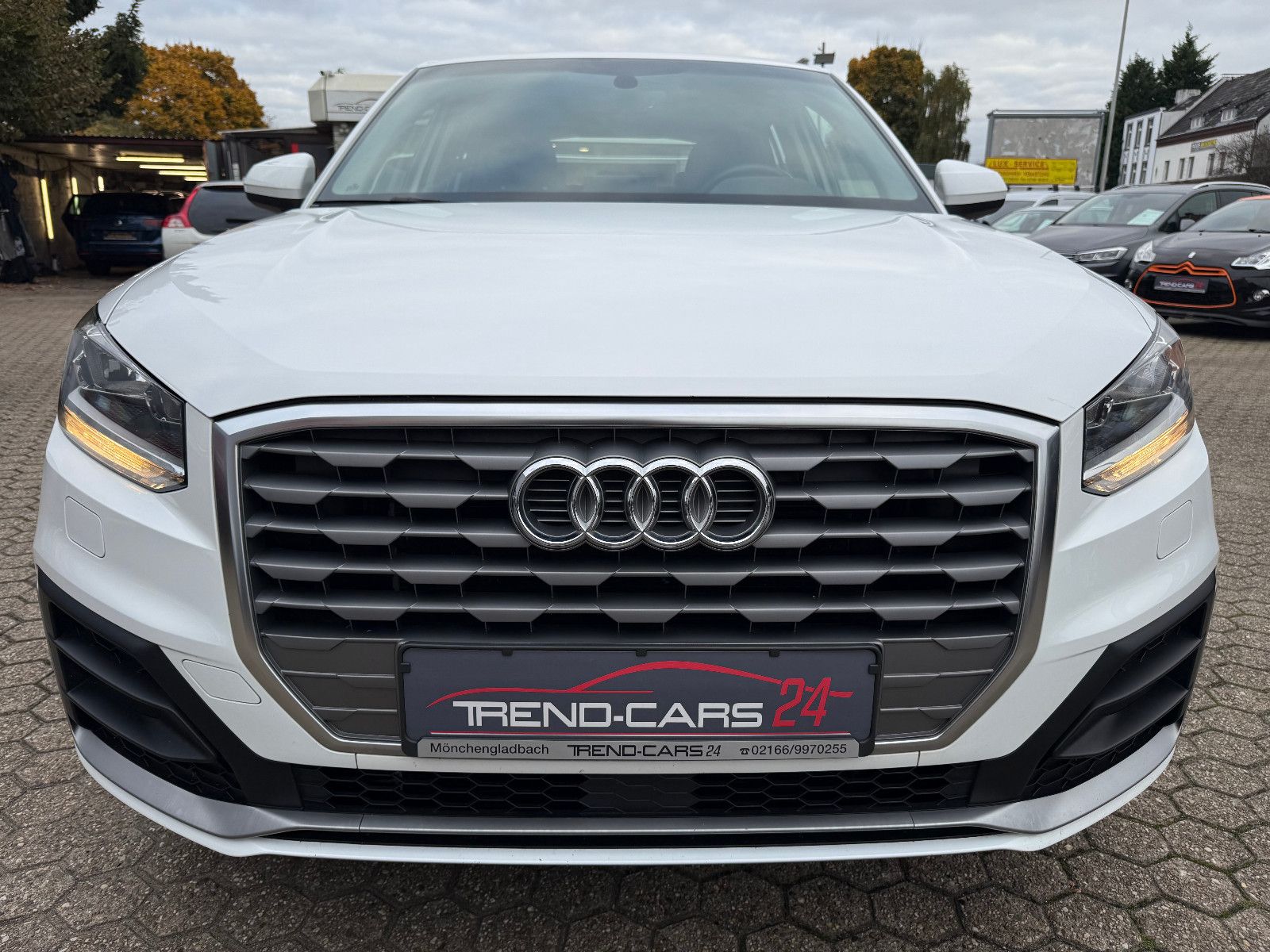 Fahrzeugabbildung Audi Q2 35 TFSI*AHK*Tempomat*Leder*Navi*