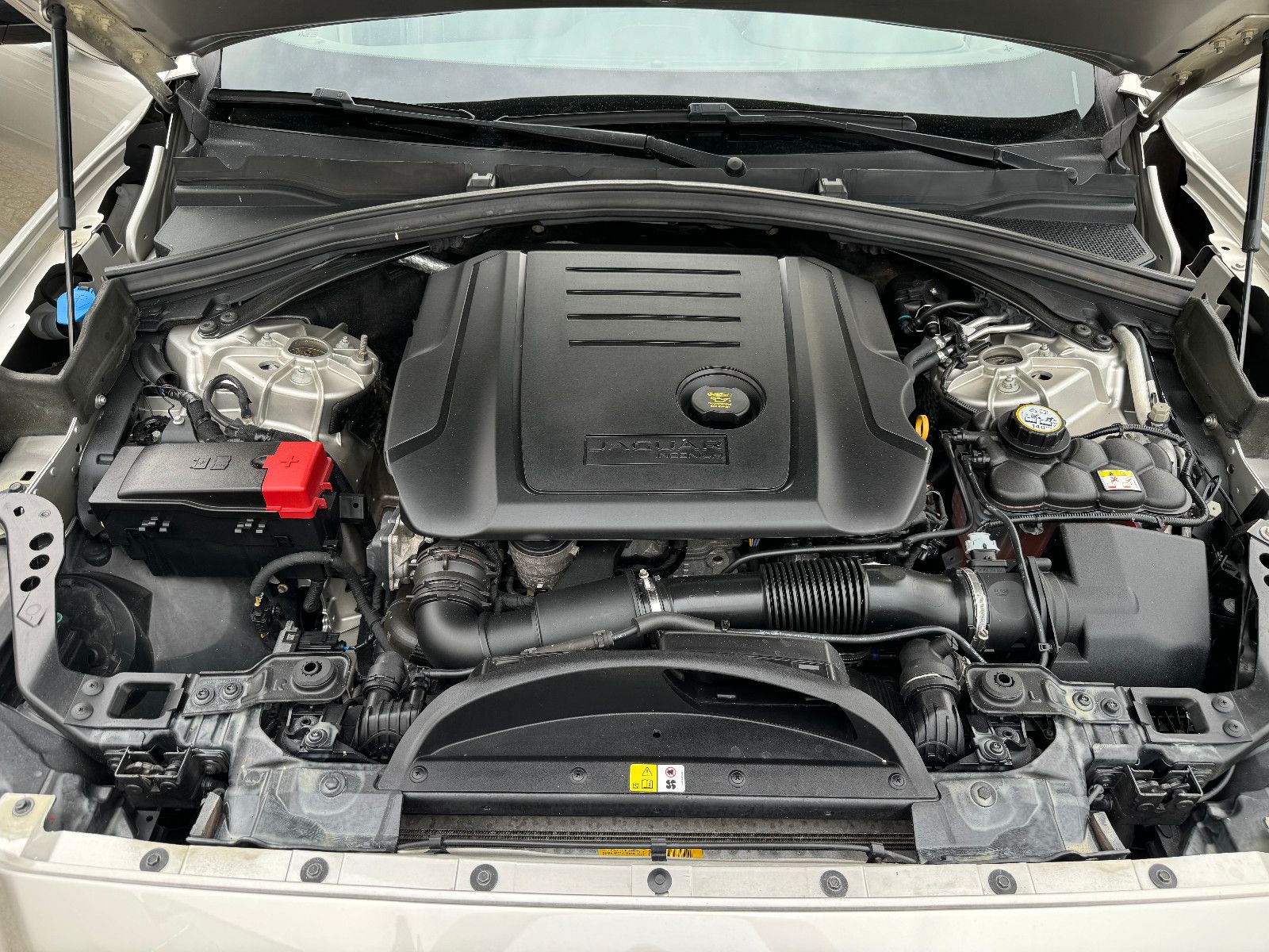 Fahrzeugabbildung Jaguar F-Pace F-PACE R-Sport AWD MOTORSCHADEN