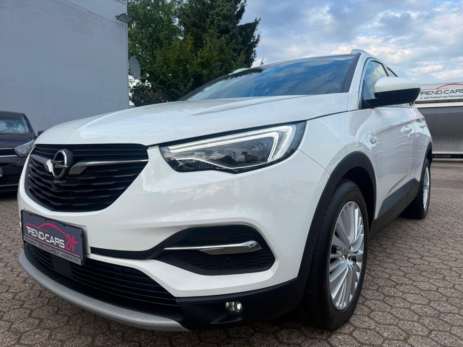 Opel Grandland (X)Business Innovation*